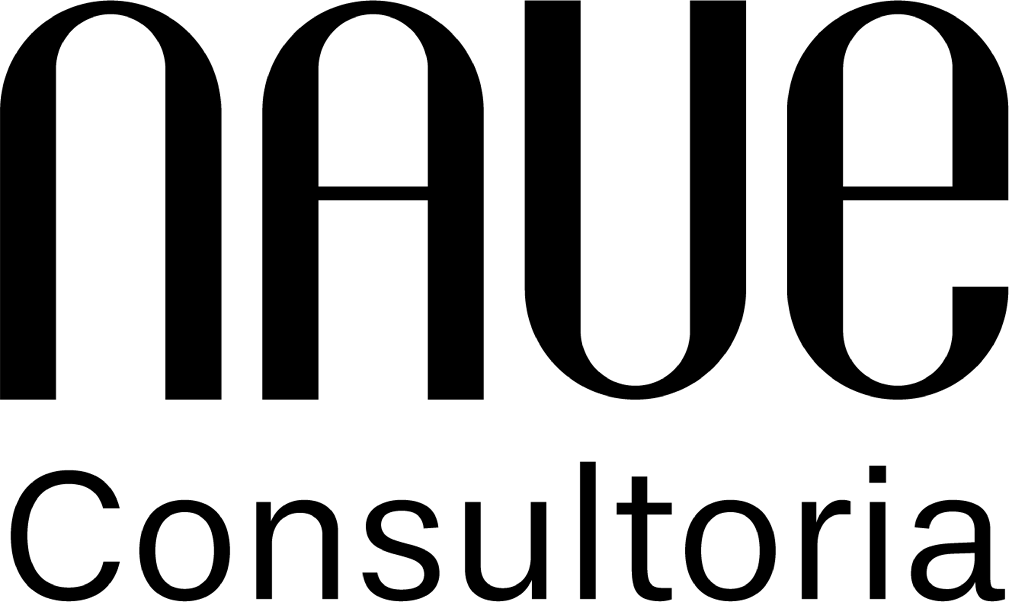 NAUE Consultoria